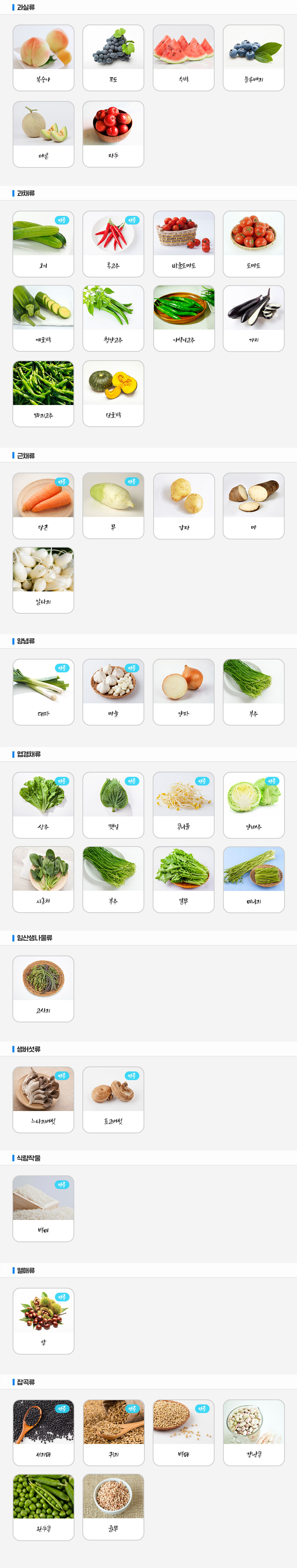 6월 출하 농산물 리스트