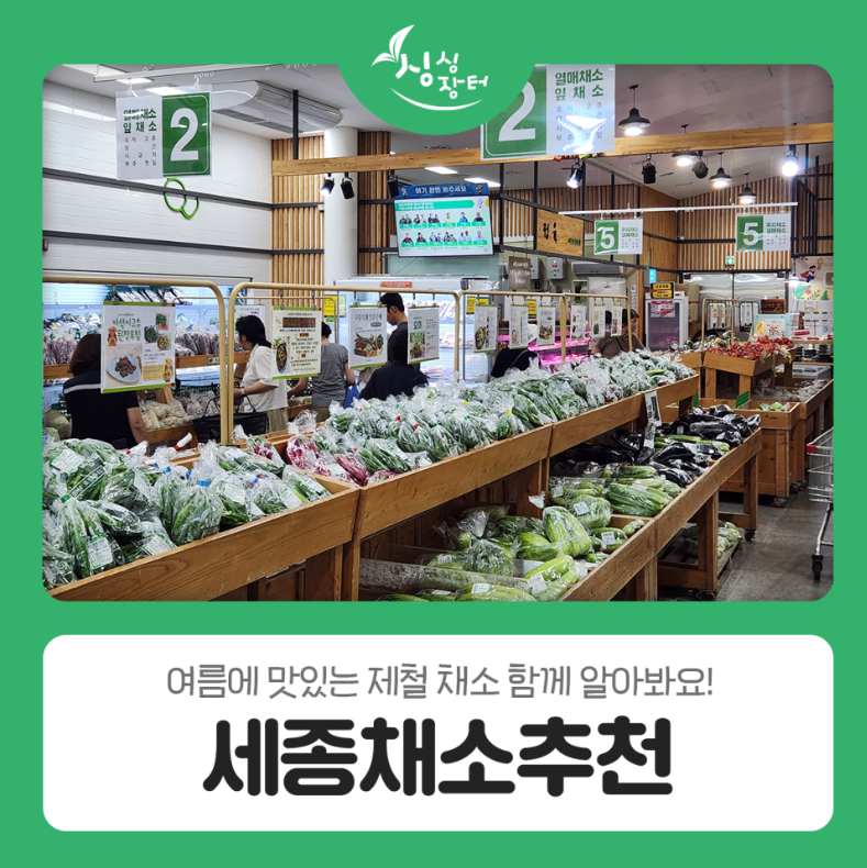 세종채소추천, 여름에 맛있는 제철 채소 함께 알아봐요!